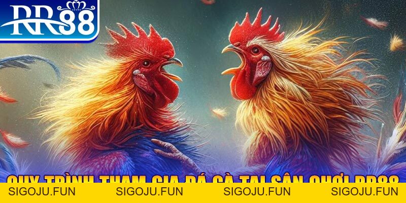 Đá Gà Miền Tây - Gà Chọi RR88 Đỉnh Cao Nhất Việt Nam - Sigoju