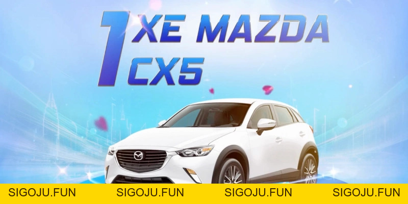 Sinh Nhật RR88 - Đại Tiệc Tri Ân Ngập Tràn Quà Tặng Giá Trị - Sigoju